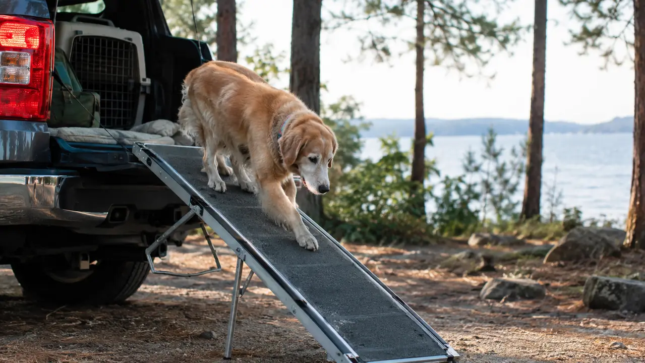 PetSafe Happy Ride Folding Dog Ramp Review: A Season of Truck and Lake Trips